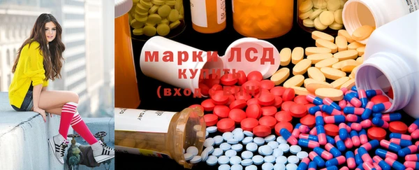 стафф Корсаков