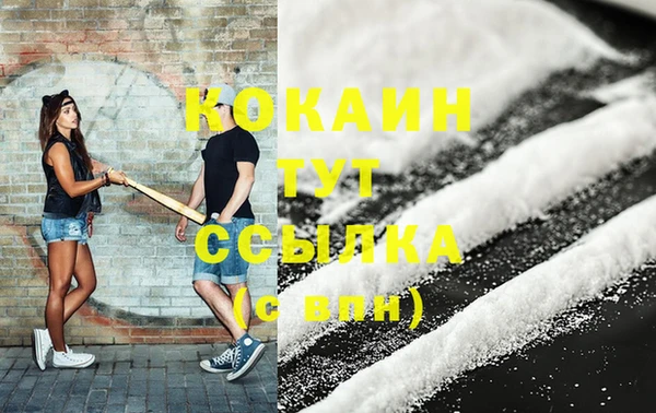 стафф Корсаков