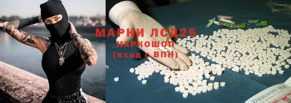 стафф Корсаков