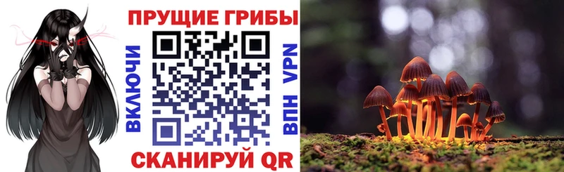 Галлюциногенные грибы Psilocybine cubensis  Купить  Котово 